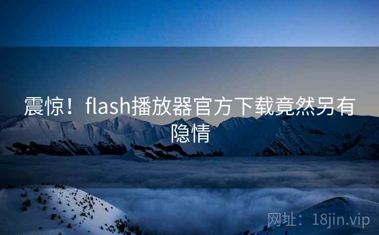 震惊！flash播放器官方下载竟然另有隐情  第2张