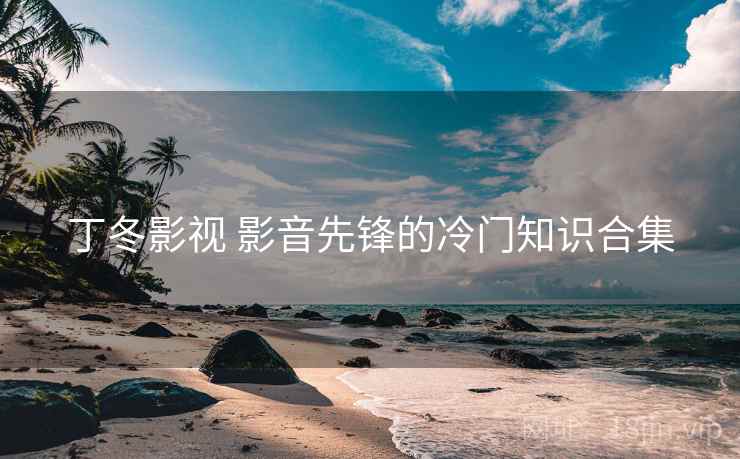 丁冬影视 影音先锋的冷门知识合集  第2张