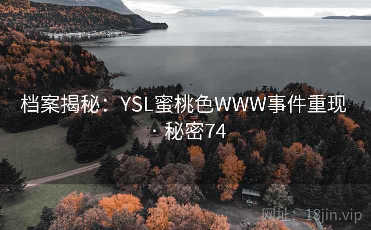 档案揭秘：YSL蜜桃色WWW事件重现 · 秘密74  第2张