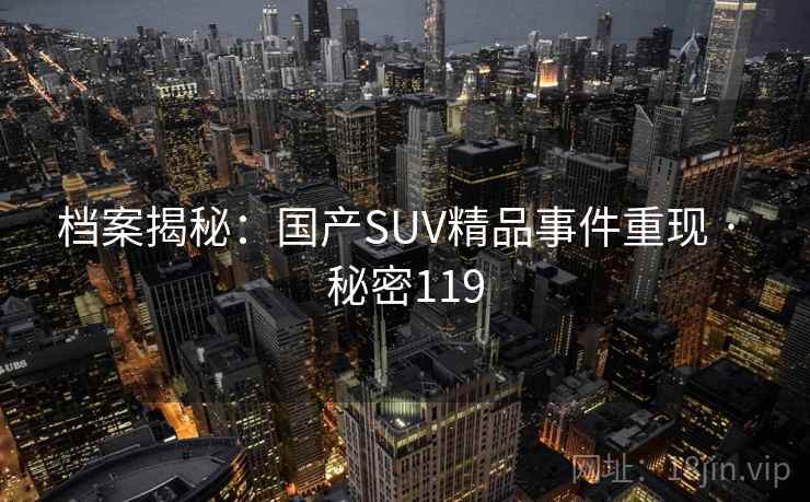 档案揭秘：国产SUV精品事件重现 · 秘密119