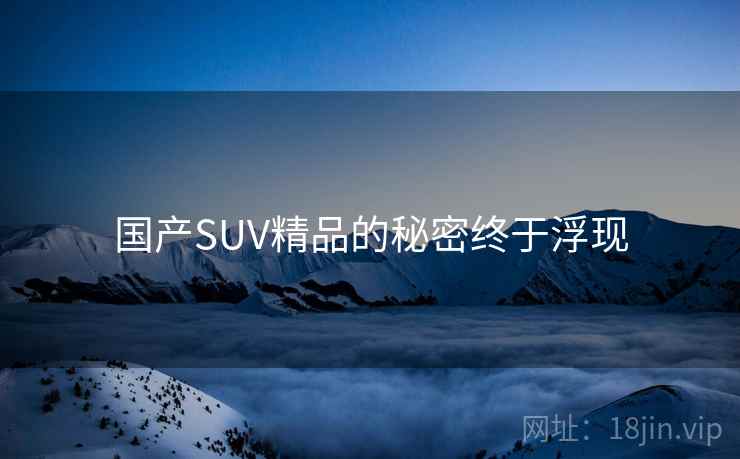 国产SUV精品的秘密终于浮现